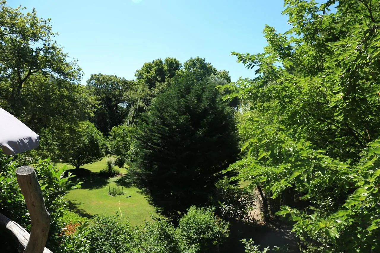 Le Pavillon Vert - B&B Vedène 0*,  Francie