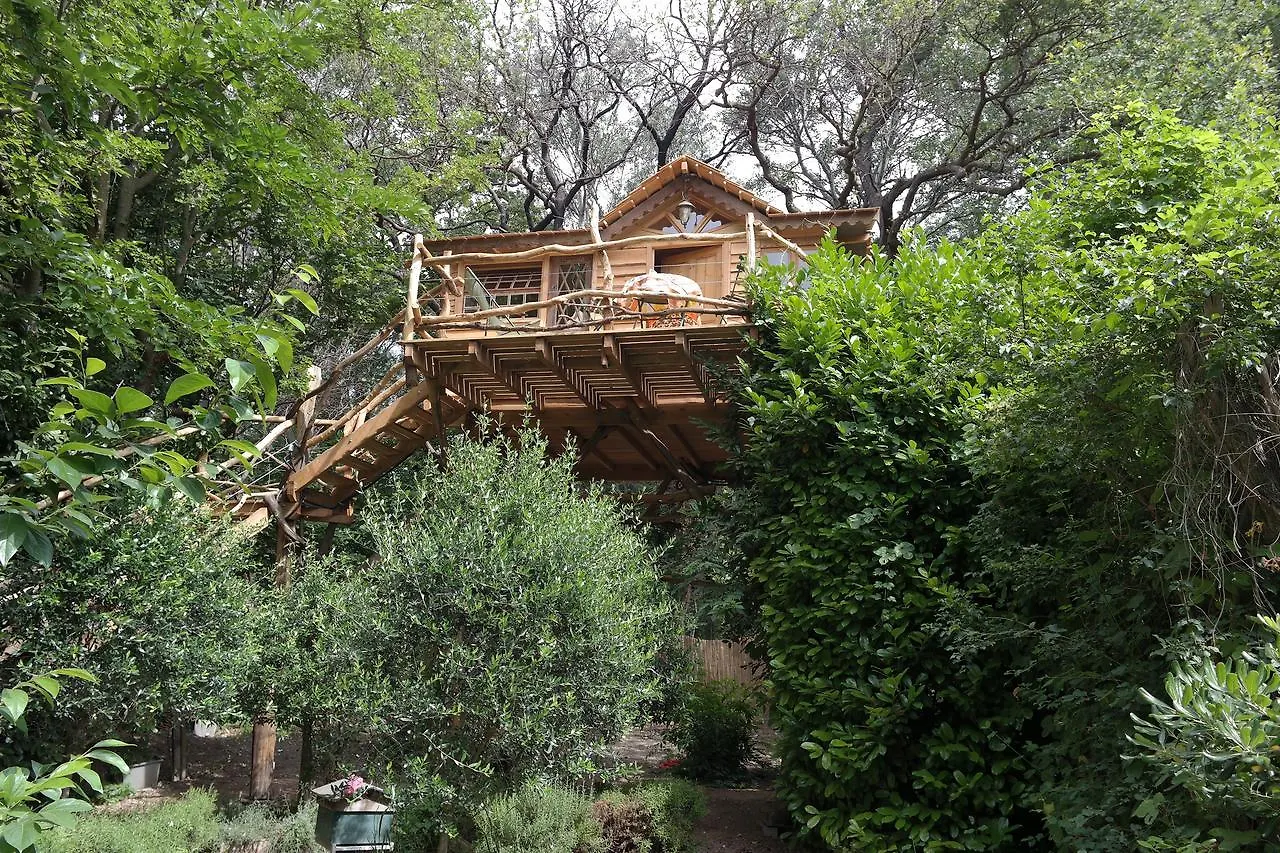 Le Pavillon Vert - B&B Vedène Bed & Breakfast