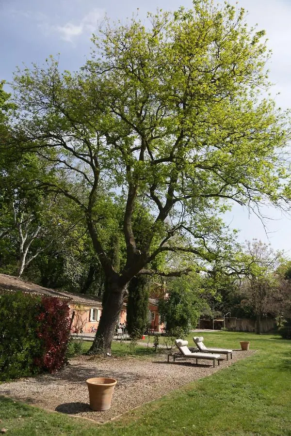 Le Pavillon Vert - B&B Vedène 0*,  Francie