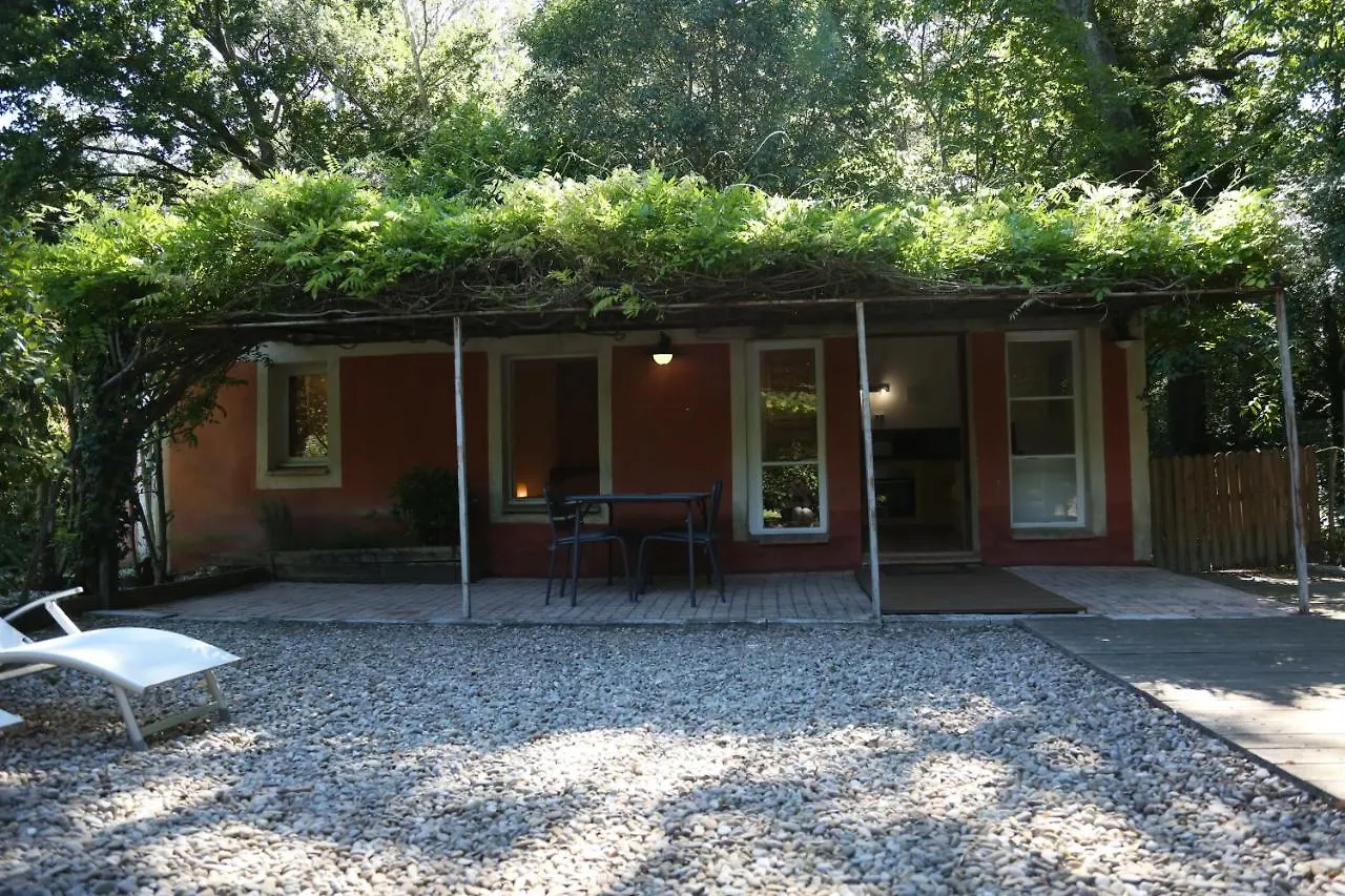 Le Pavillon Vert - B&B Vedene 0*,