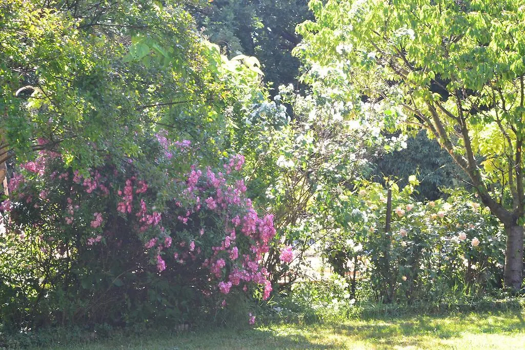 Le Pavillon Vert - B&B Vedene 0*,  France