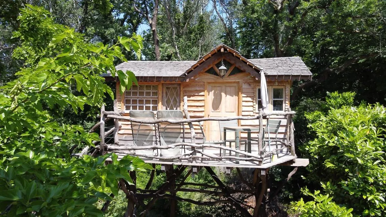 Bed & Breakfast Le Pavillon Vert - B&B Vedene